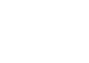 BetMGM Partner Logo