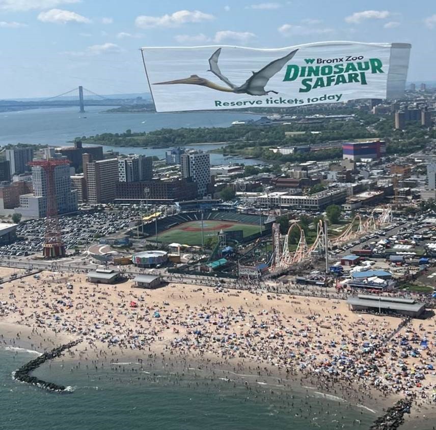 Dinosaur Safari aerial advertising