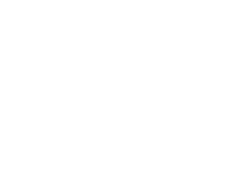 Truly Seltzer Partner Logo